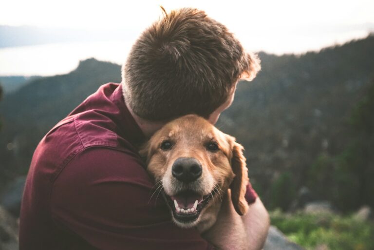 wat zeg je bij afscheid hond