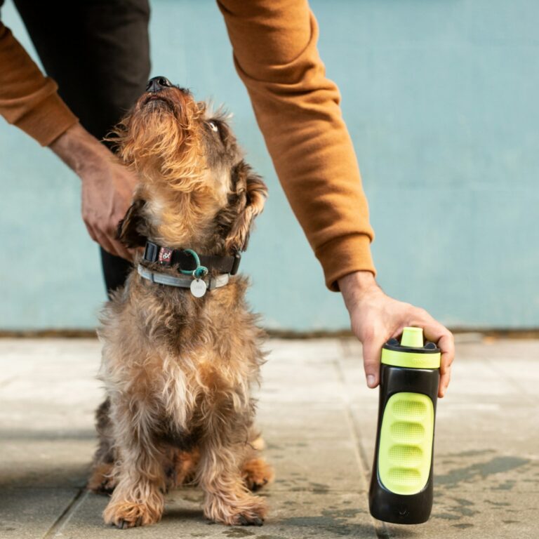 drinkfles hond wandelen