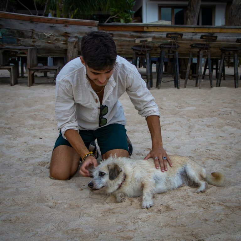 EHBO set hond aanbieding
