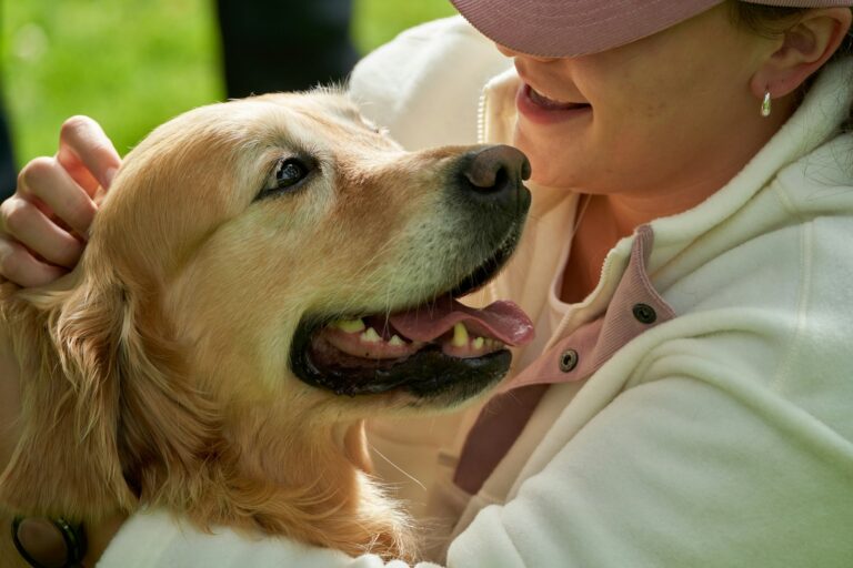 Wie is de liefste hond