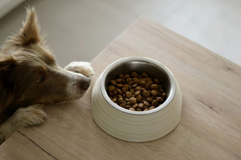 welke gekookte groente mag een hond