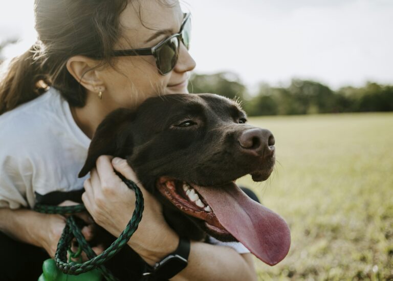 signalen hond ziet jou als baasje