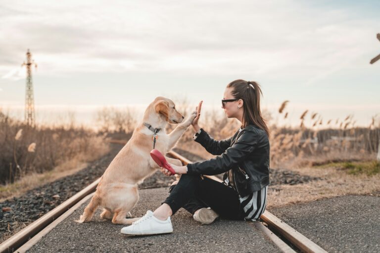 kunnen honden mensen herkennen
