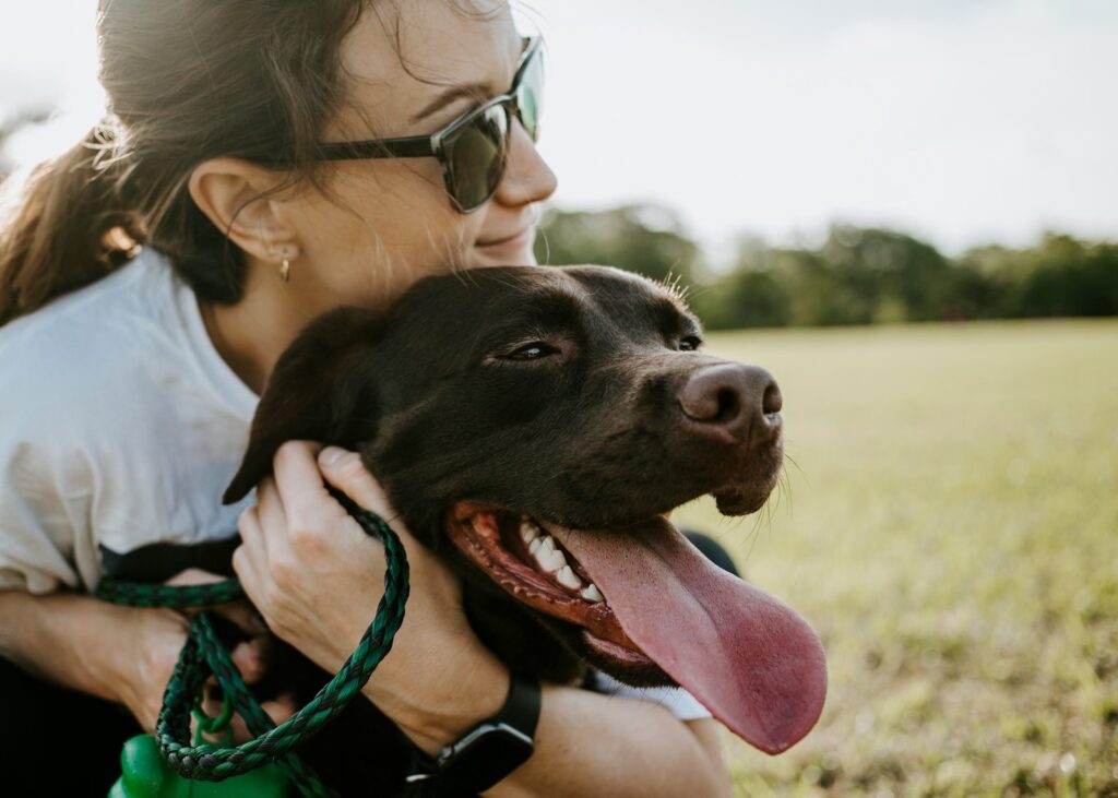 weten honden dat baasje van ze houdt